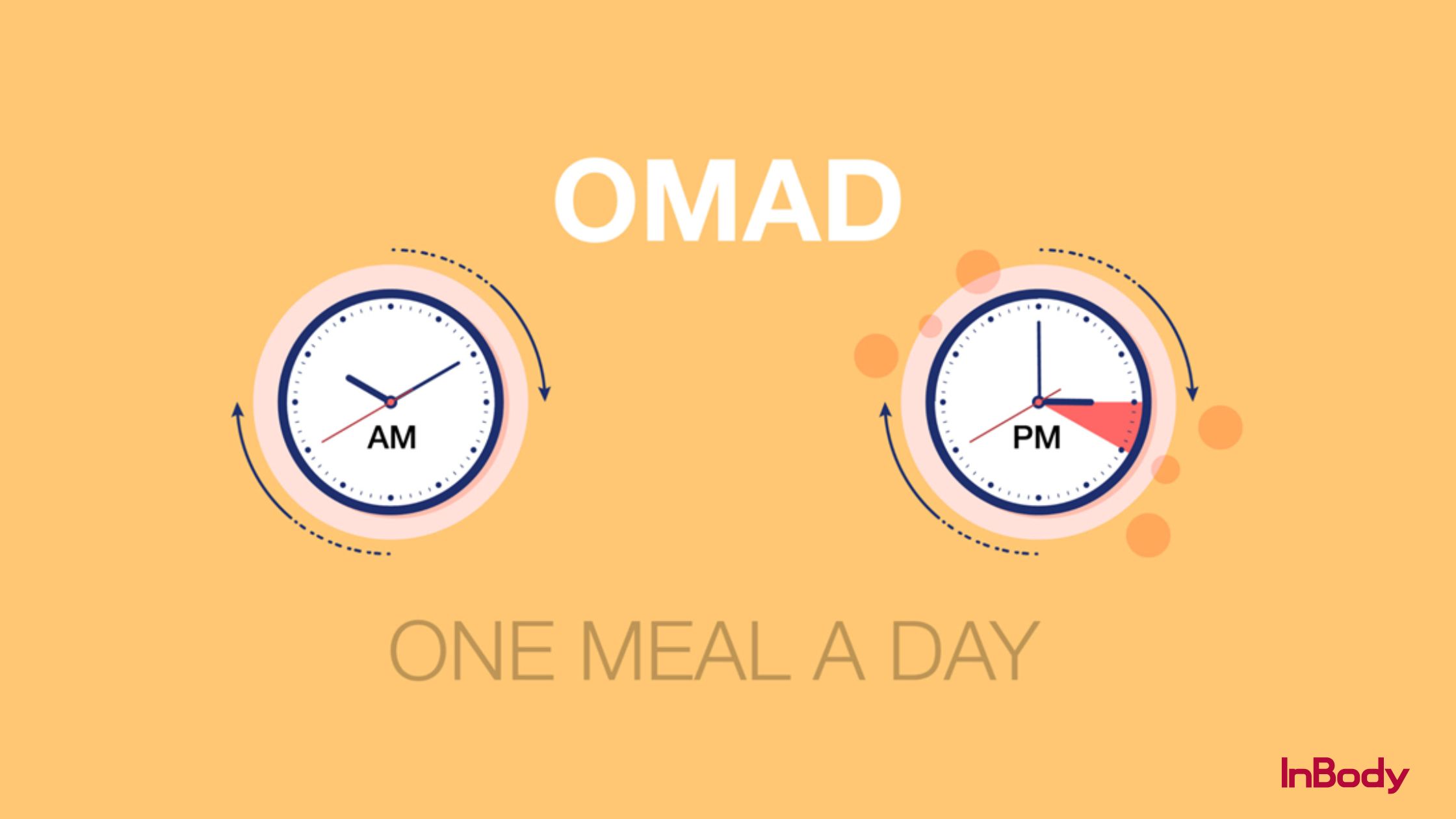 Diagram illustrating the 23:1 fasting window of OMAD (One Meal A Day)