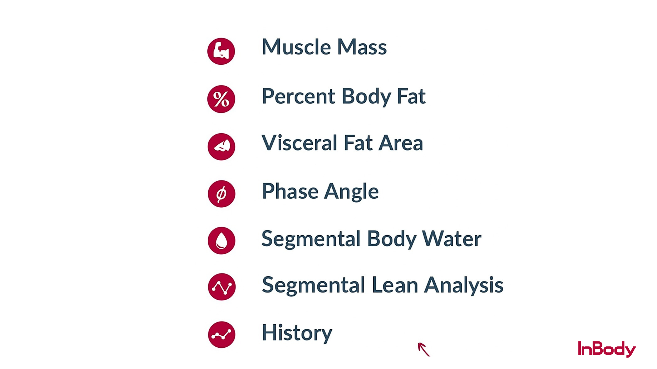 Infographic showing various body composition metrics like fat mass, muscle mass, and water content